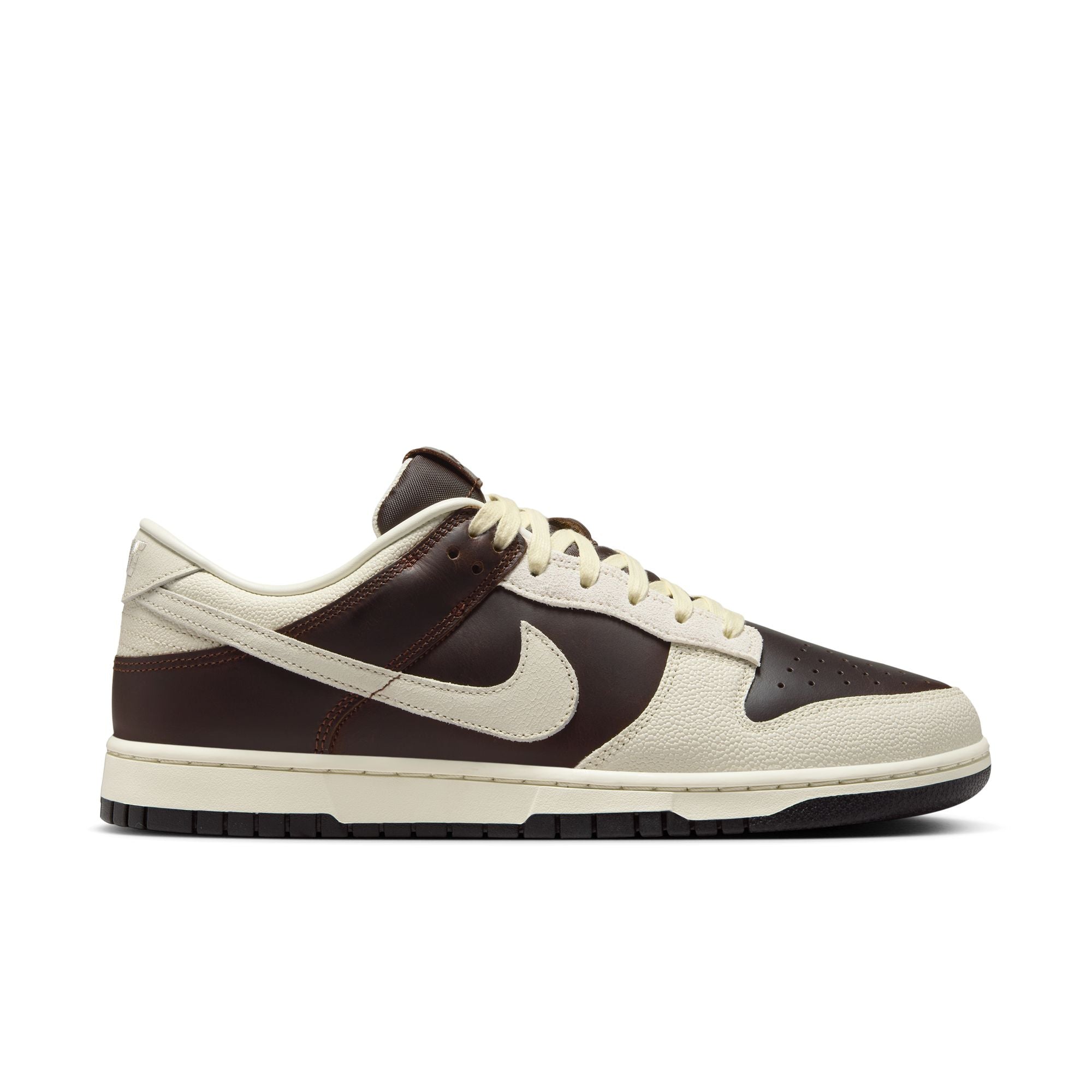 Nike Dunk Low Retro Men's Shoes